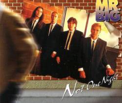 Mr. Big : Not One Night